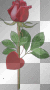 love rose red green heart ©dK