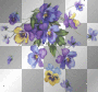 Flowers purple viollet transparent