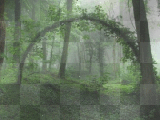 Nature Background