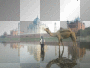 TAJ MAHAL TAJ MAHAL