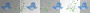 ➸♥ (Bj) Animated divider "Animals / Birds"