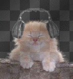 Chat