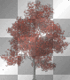 arbre