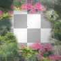 Frame -  inspctrgrl34