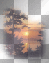 transparent rossi_61