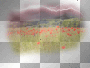 transparent rossi_61