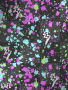 Multi color background