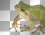 FROG MS