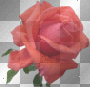flores y floreros  rossi_61