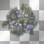 blumen 