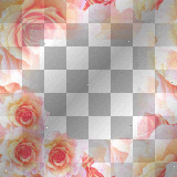 Nenaio Png Transparent Spring Frame Deco Border Background vintage floral flower flowers rose roses white beige red pink orange
