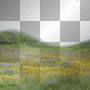 BACKGROUND SPRING SUMMER FLOWERS FIELD LANDSCAPE TRANSPARENT BACKGROUND SPRING SUMMER FLOWERS FIELD LANDSCAPE TRANSPARENT