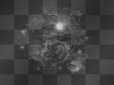 dark rose