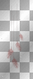 { Transparent Red Feathers }