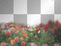 Spring summer flower flowers background vintage