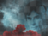 Nenaio Gif The Vampire Diaries Damon Salvatore goth gothic blue rose roses bird birds night