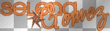 Nenaio Png Gif Transparent Selena Marie Gomez Logo Star Stars Glitter black white grey orange bronze 