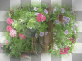 deco garden dubravka
