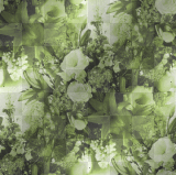 background flower lily vintage bouquet hintergrund blumen lilien blumenstrauß green grün 