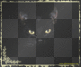Katze