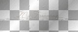 PRZEZ TRANSPARENT DECO TEXT WHITE