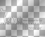 mejserr text : Our love was meant to be. The kind of love that last forever.