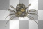 Fantasy steampunk spider emo gothic background Fantasy steampunk spider emo gothic background