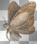 Kerstie: Steampunk Butterfly Kerstie: Steampunk Butterfly