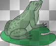 Frosch auf Blatt