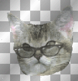 head cat kitten pussy cat wink glasses ²u