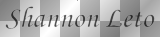 Shannon Leto logo