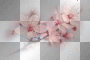 flower pink deco transparent [1ֆ]