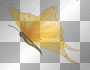 soave butterfly deco yellow soave butterfly deco yellow