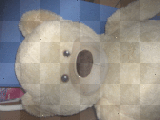 teddy <3