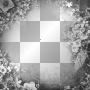Frame flowers black white Frame flowers black white