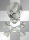 silver skull bones animated ²u