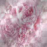 Animated background pink roses 