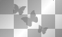 Grey Butterflyes ░░☺ŕīĝįñął   ßŷ   ßĩå ░░(Ďőň”ŧ  Ĉŏpŷ)░░