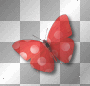Butterfly red