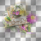 Background flowers butterfly bird sunny day purple yellow  