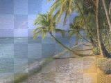 palmen Strand