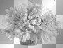 vase, flowers, white, deco