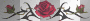 RED ROSES