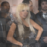 black Super star Lady GaGa