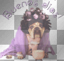 dog,.