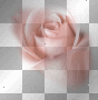 vintage trasparent deco rose pink [1ֆ]