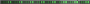Green Flashy Divider