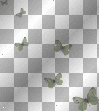 Butterfly Green