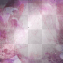 Pink Flower Background Pink Flower Background
