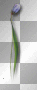 Flower deco